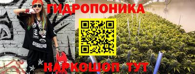 СК Краснодар